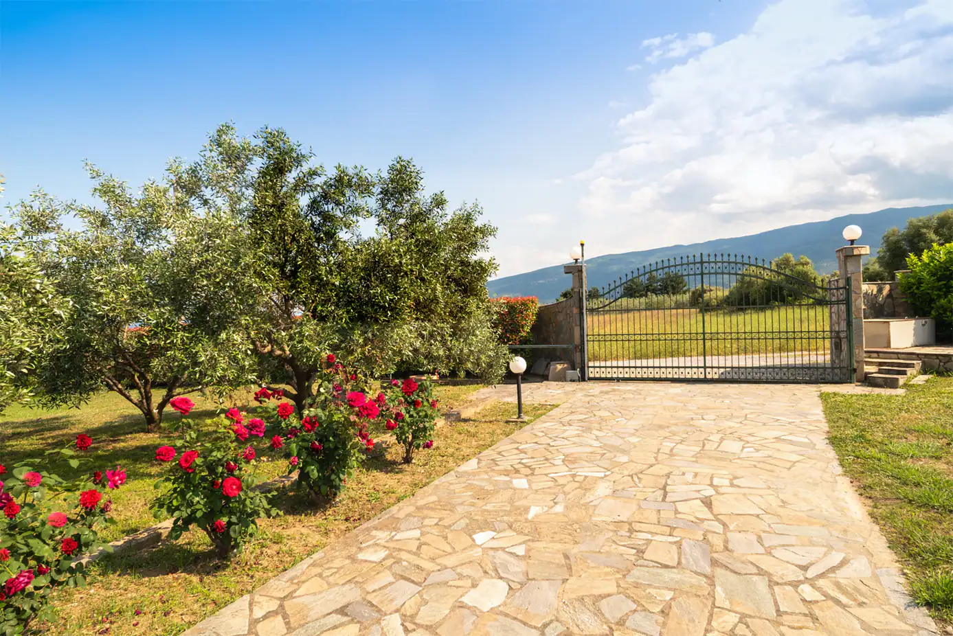 Zeusplace Sunny Villa 5